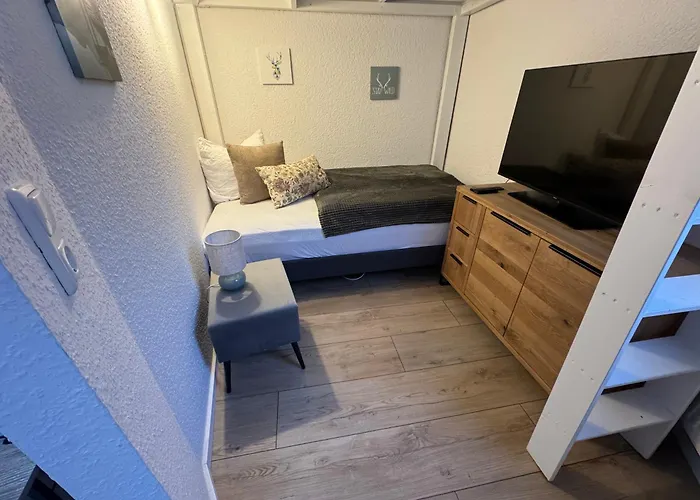 Tiny Rathenaustrasse Apartament Reichenbach im Vogtland